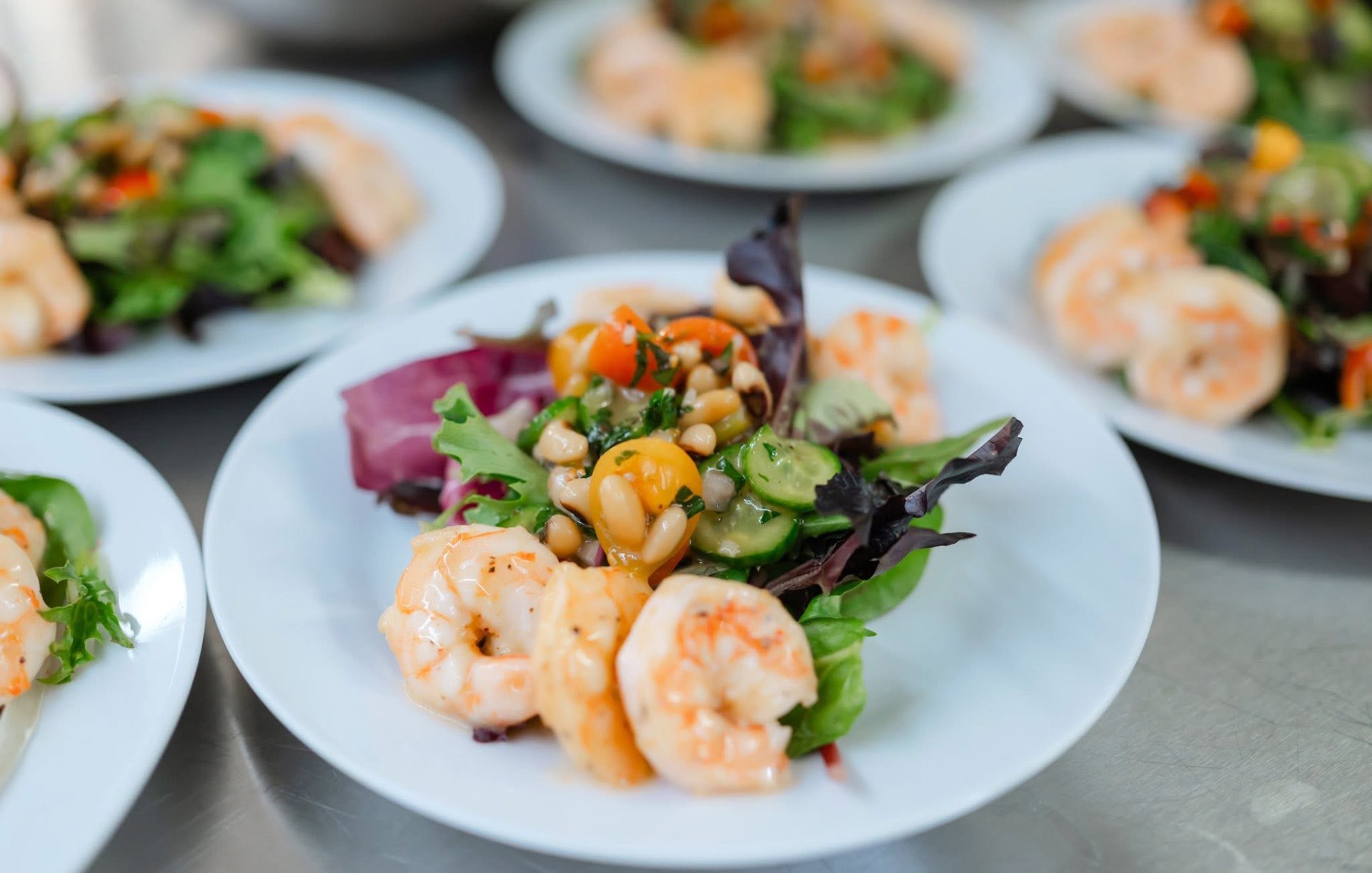 Plated shrimp and white bean salad over mixed greens